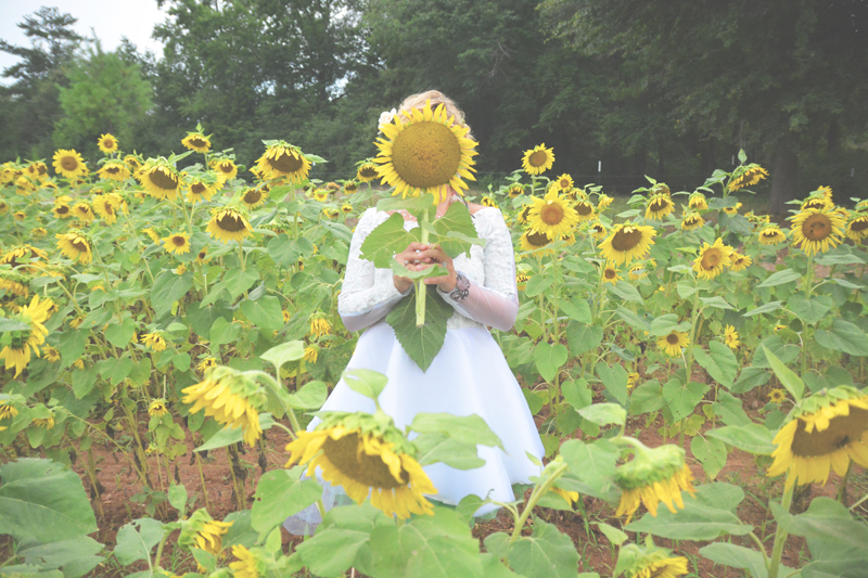 Same Sex Sunflower Field Wedding - Brooke + Cheyenne Elopement Picnic - Six Hearts Photography 54