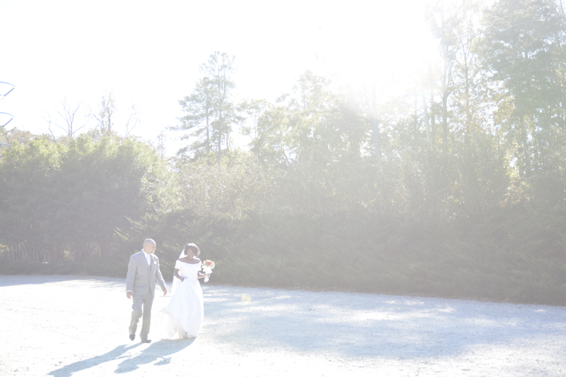 Clayton County Water Authority Wedding Photography - Octavia and Luther Wedding - Six Hearts Photography17