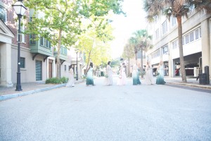 Charleston SC Harbour Club Wedding – Indian American Ceremony – Six