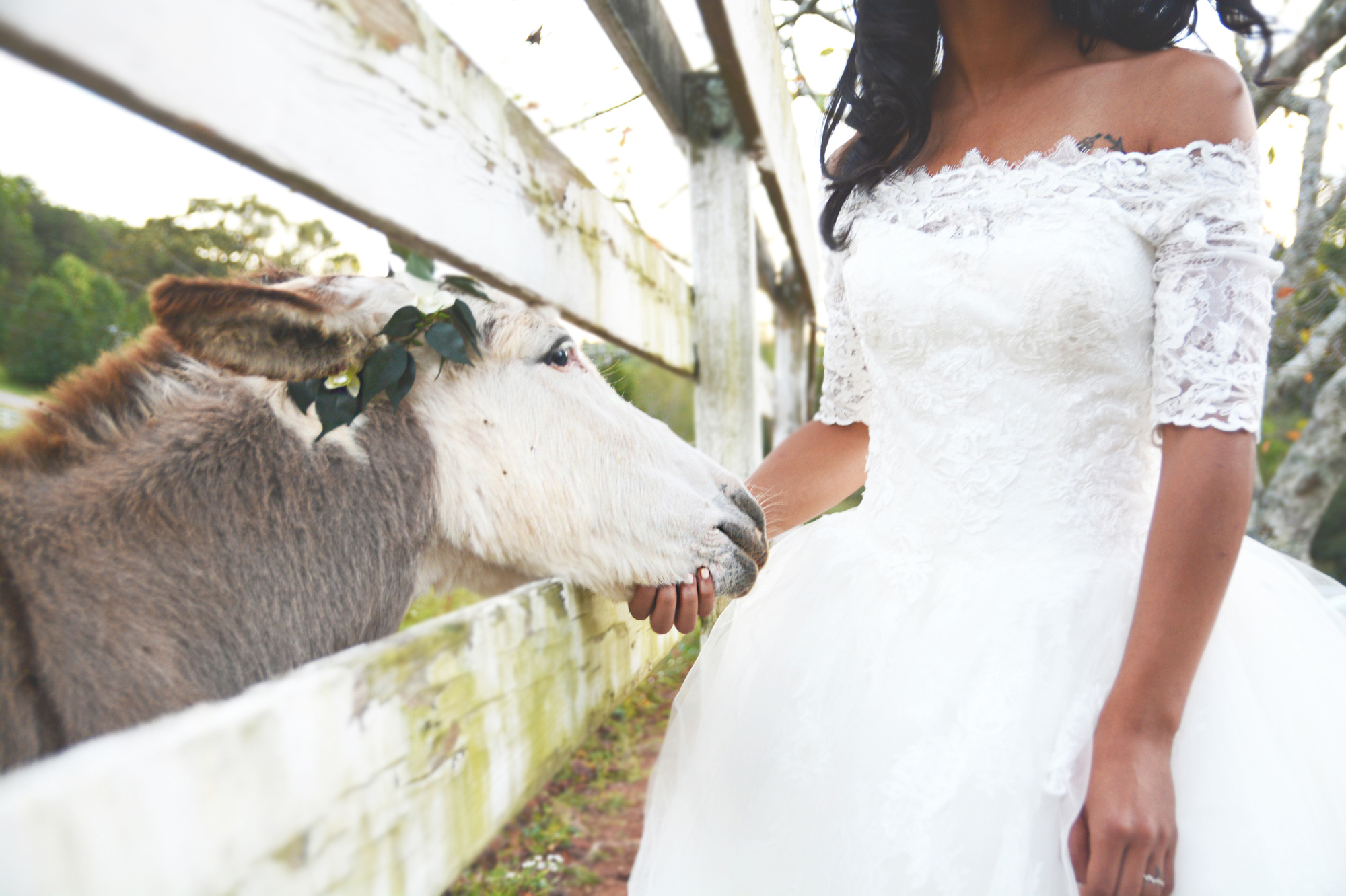 mountain-laurel-farm-wedding-six-hearts-photography001