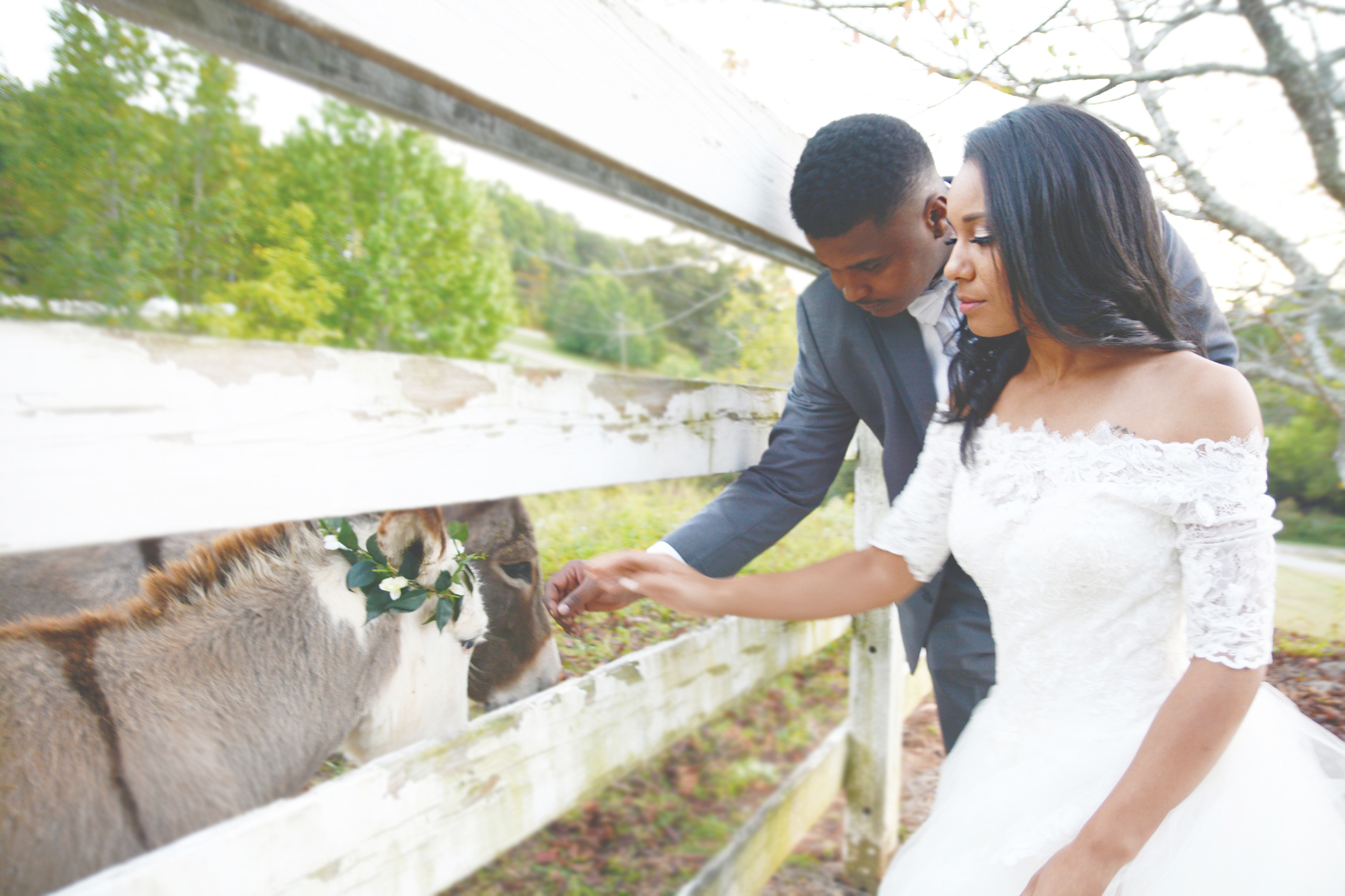 mountain-laurel-farm-wedding-six-hearts-photography028