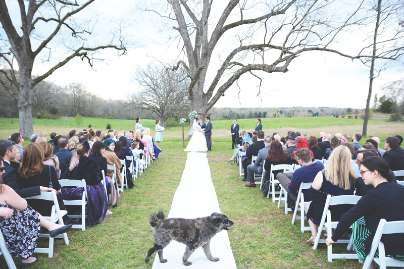 Wedding at Cloverleaf Farm - Six Hearts Photography019